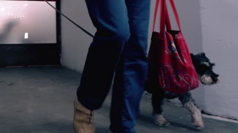 Mercedes Milá y Scott visitan a Dani Rovira en 'Un día de perros': esto es lo que piensa de Scott de su dueña