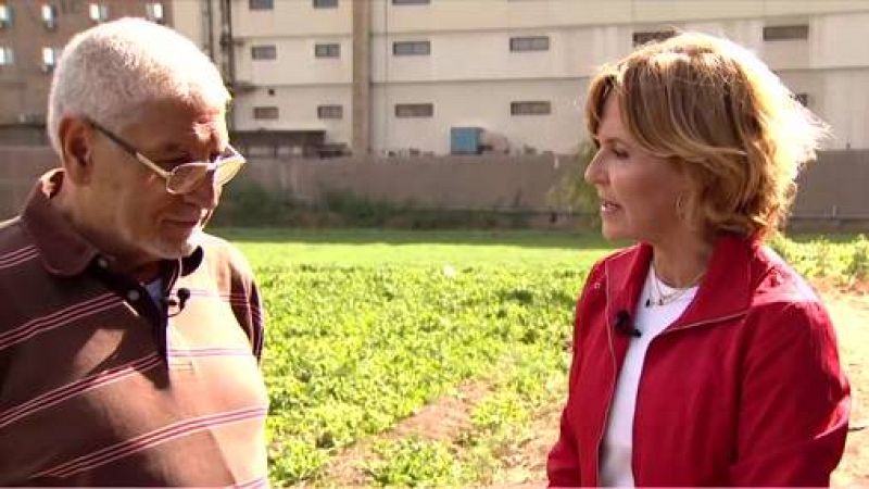 Hispano-palestinos evacuados de Gaza: "Pensábamos que eran nuestros últimos días de vida"