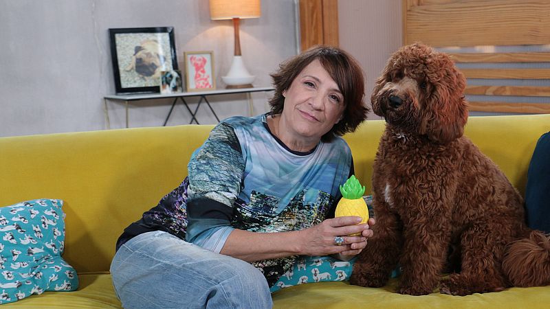 Blanca Portillo y Eduardo visitan a Dani Rovira en 'Un día de perros': ¿Cómo es la relación entre ellos?