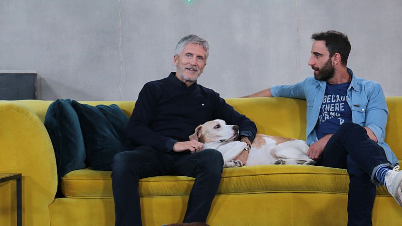 ¿Cómo educar a un perro anciano? Fernando Grande-Marlaska y Dani Rovira hablan de los perros senior