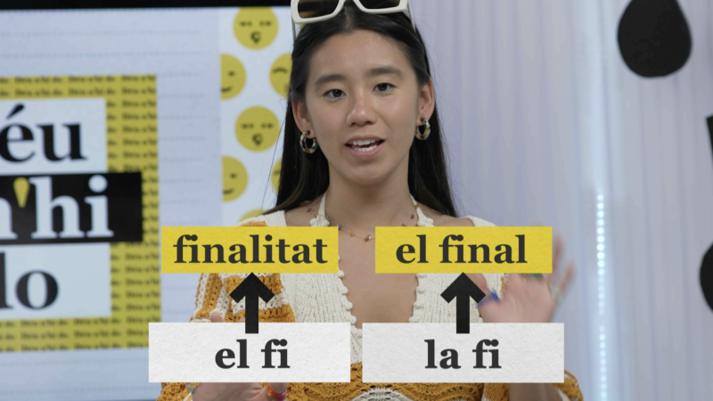 Com s'escriu "El fi" o "La fi"?