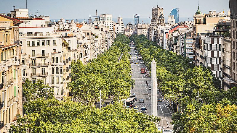El passeig de Grcia: descobreix les imatges de l'avinguda de Barcelona que ms ha canviat