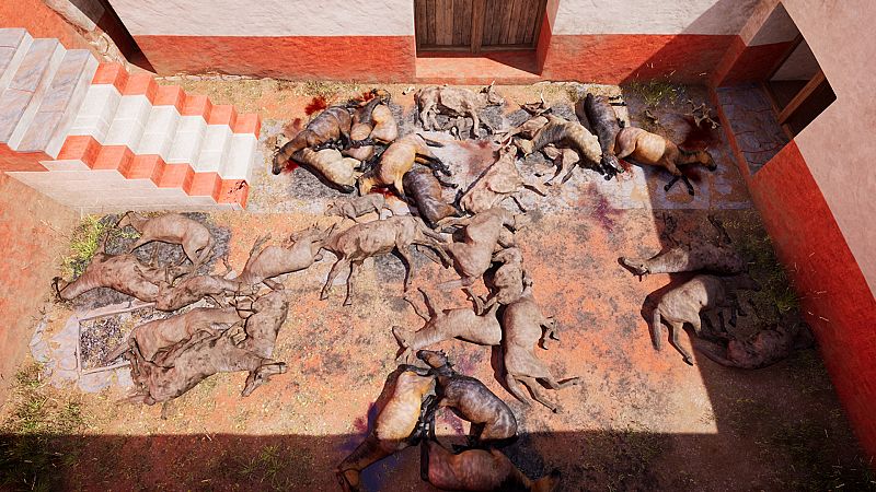 Desvelan en un yacimiento tartésico de Badajoz el mayor sacrificio ritual de animales en el Mediterráneo occidental