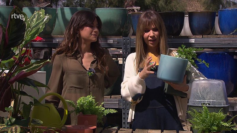 Testos d'autoreg: com mantenir les plantes hidratades constantment