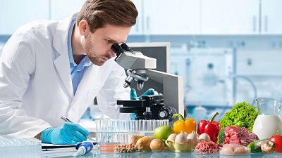 Siete curiosidades sobre alimentos que quizá no conocías
