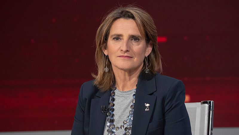 Ribera, sobre el acuerdo para Doñana: "Queremos proyectar alternativas, no se trata de dar un cheque en blanco"