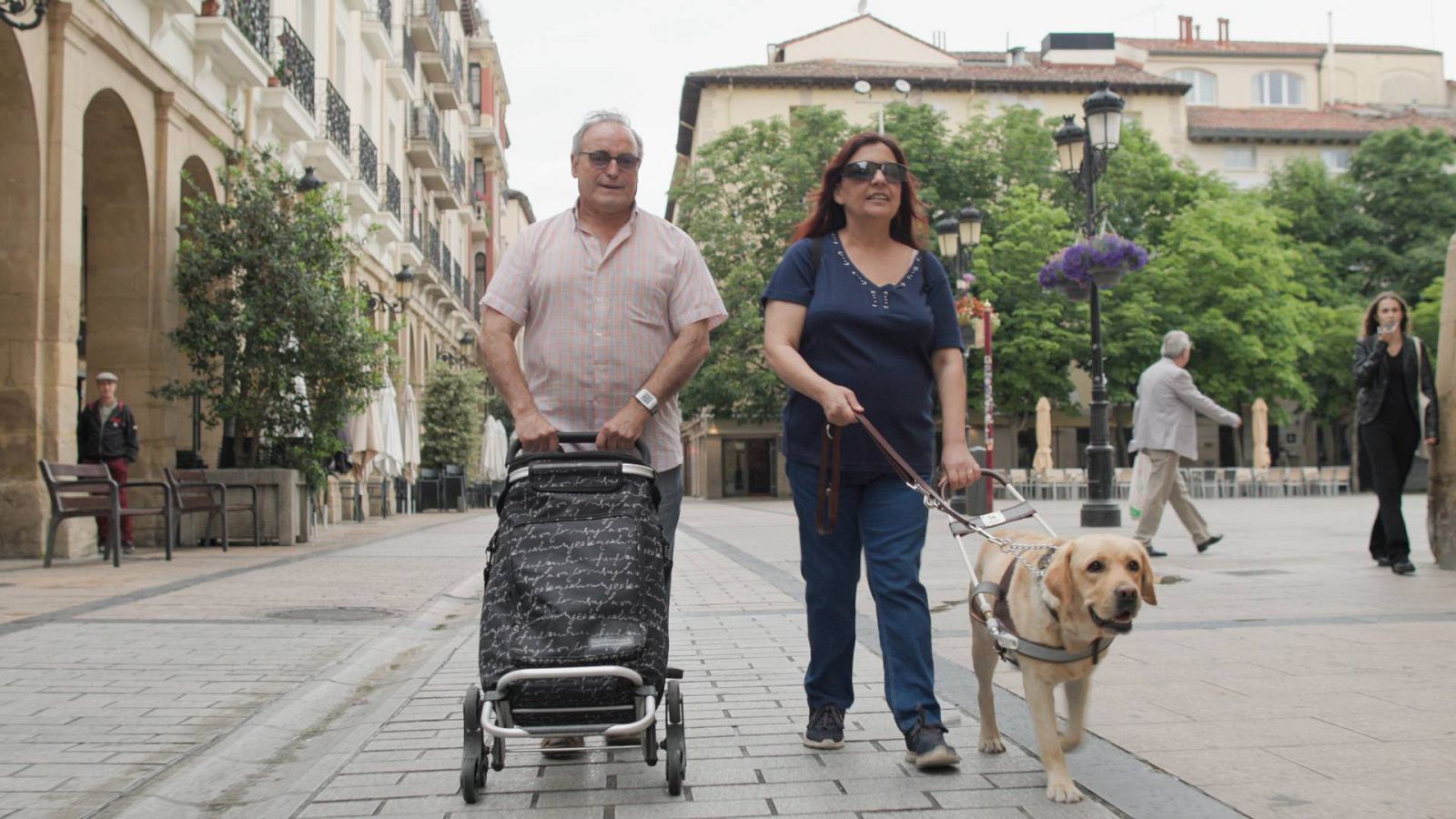 De seda y hierro - Brillar en la oscuridad - ver ahora