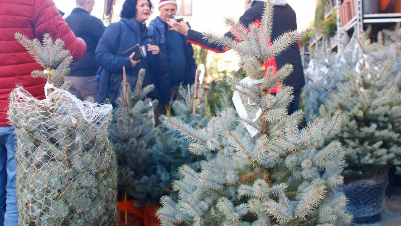 Espinelves brilla amb l'esperada 42a Fira de l'Avet: totes les seves novetats