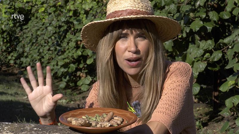 Kiwis i festucs de km 0: conreus que guanyen terreny a Lleida