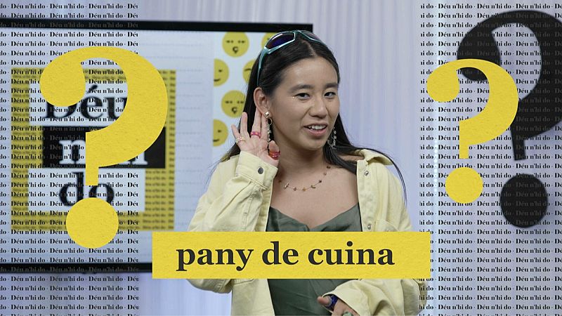 Com es diu en català "pany de cuina"?