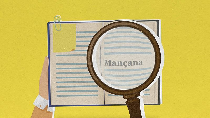 Paraules catalanes que semblen castellanismes però no ho són