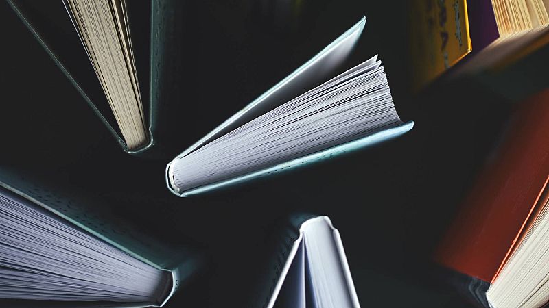 'Amnistía', 'fentanilo' o 'ecosilencio', entre las palabras del año para la FundéuRAE