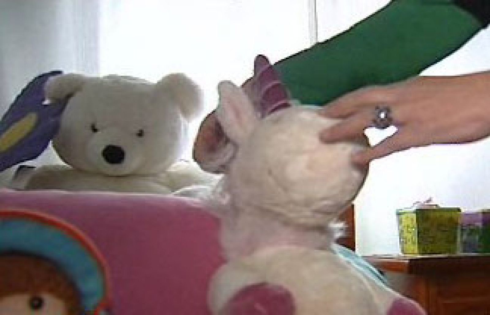 España Directo - La historia de Felipe | Ver