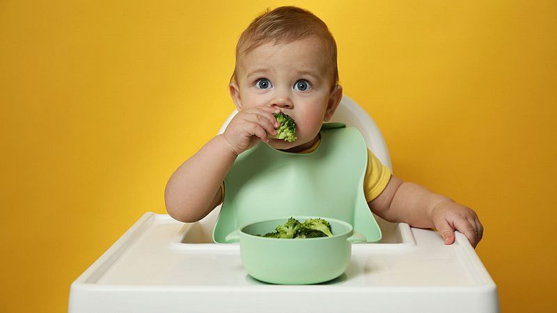 ¿Cómo debe ser la alimentación en la primera infancia?