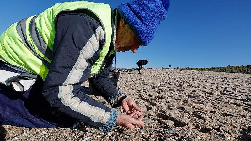 Los voluntarios del Prestige vuelven a limpiar las playas: "La ciudadanía está otra vez por encima de los gobiernos"