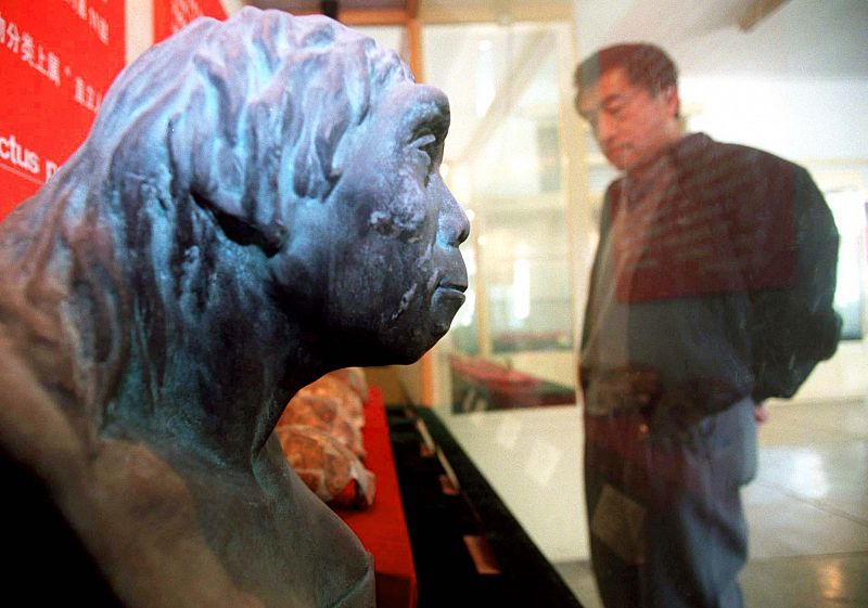 El 'hombre de Pekín' es 200.000 años más viejo de lo que se pensaba, según un estudio chino