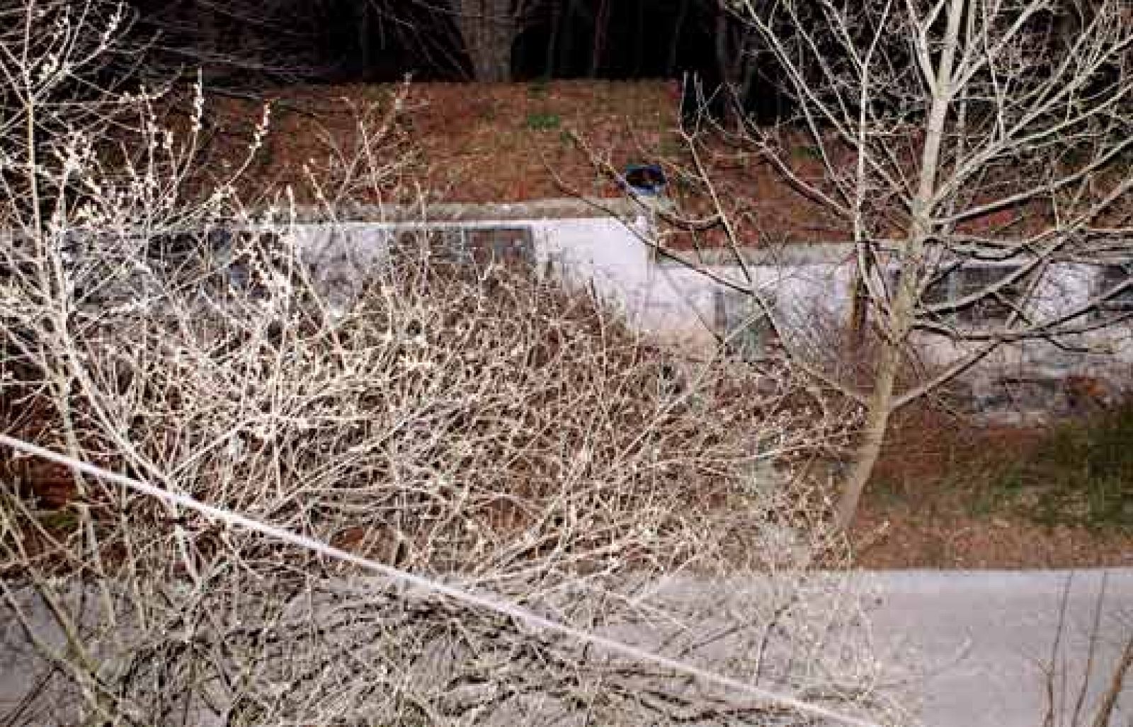 Los heridos por el obús sufren amputaciones