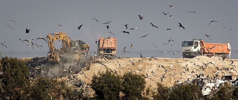 Semana clave en la búsqueda del cuerpo de Marta del Castillo en el vertedero