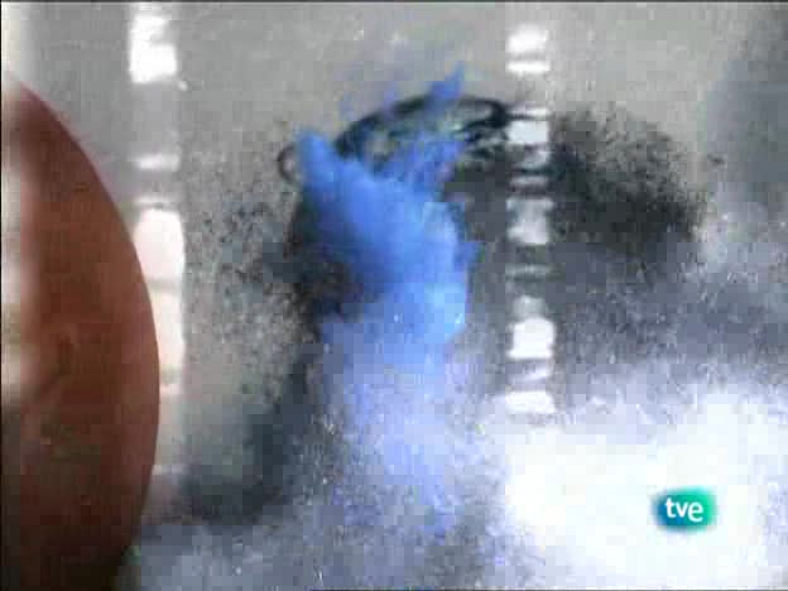 tres14 - Bajo Tierra - tres14 | Ver