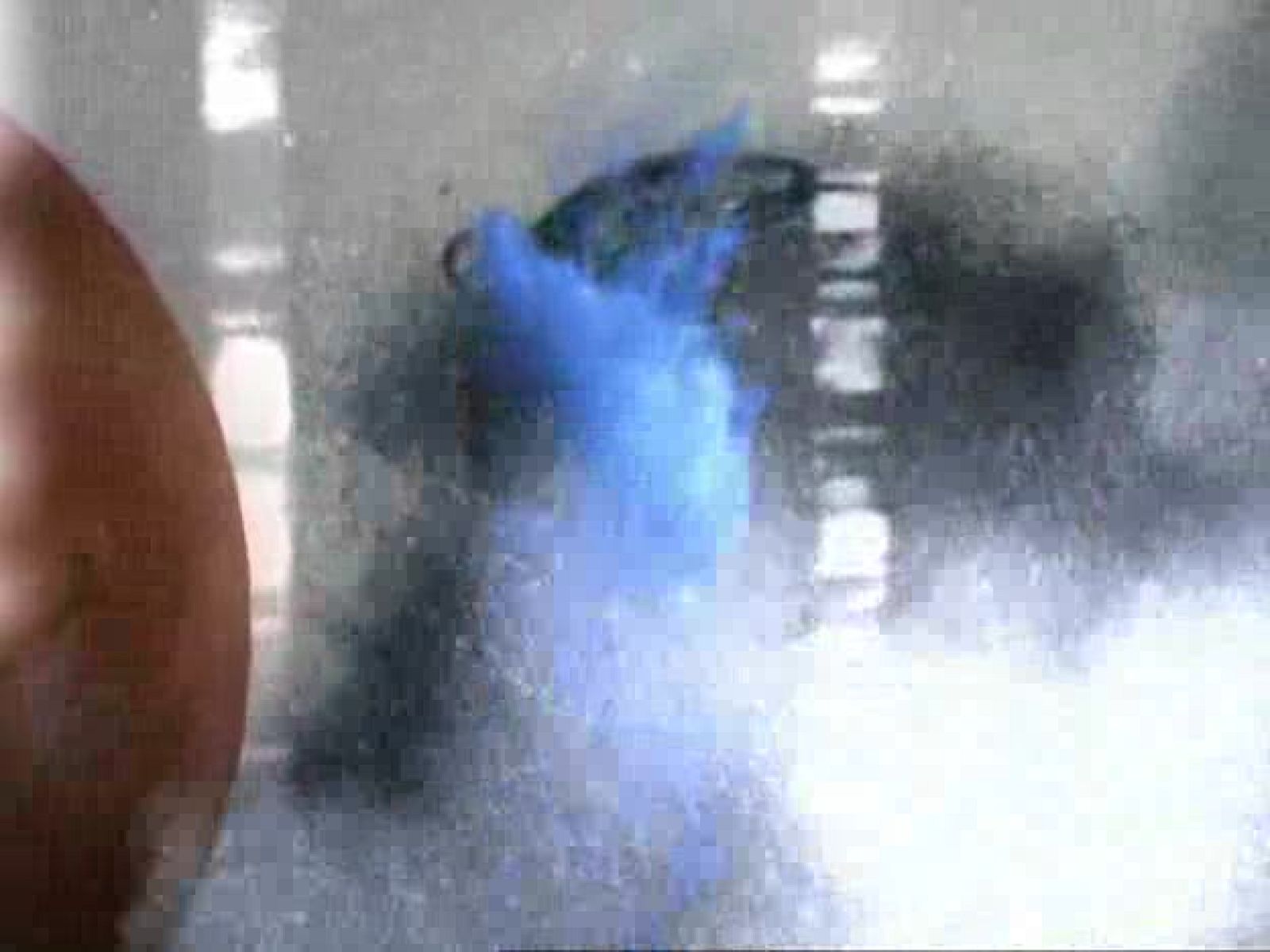 tres14 - En red - tres14 | Ver