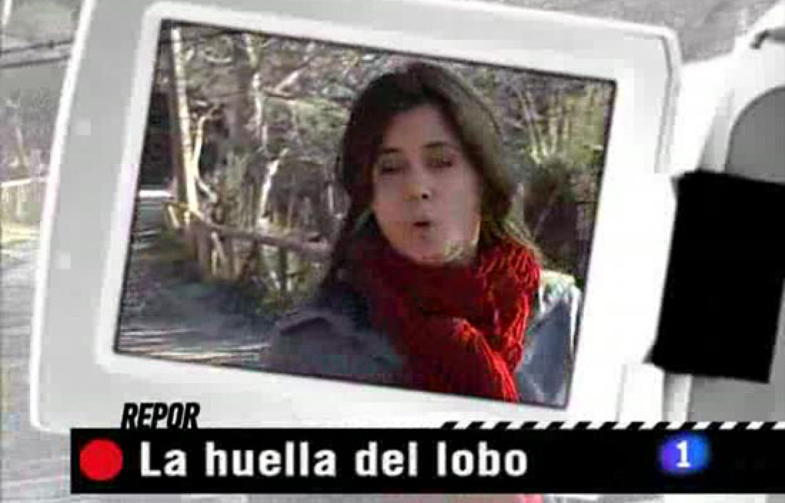 Repor - La huella del lobo - Repor | Ver