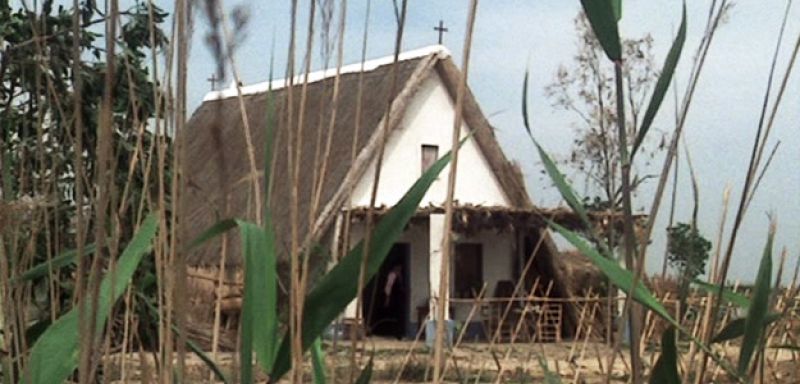 "La Barraca", la más universal de las novelas de Blasco Ibáñez