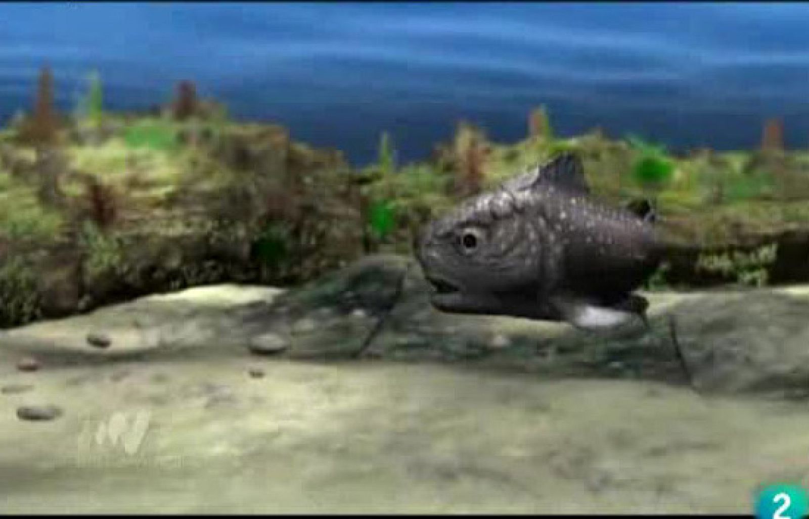 tres14 - La reproducción asistida - tres14 | Ver