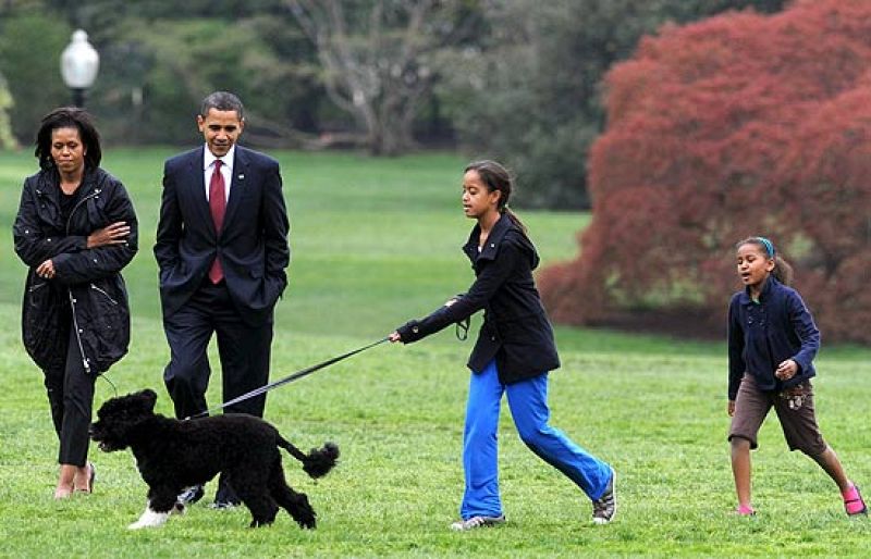 Bo, un nuevo vigilante en la Casa Blanca y una amenaza para la huerta de Michelle Obama