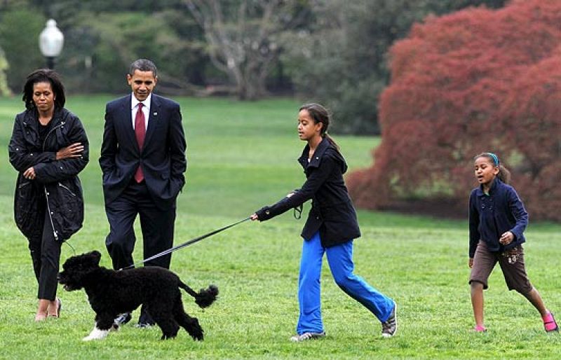 Bo, un nuevo vigilante en la Casa Blanca y una amenaza para la huerta de Michelle Obama