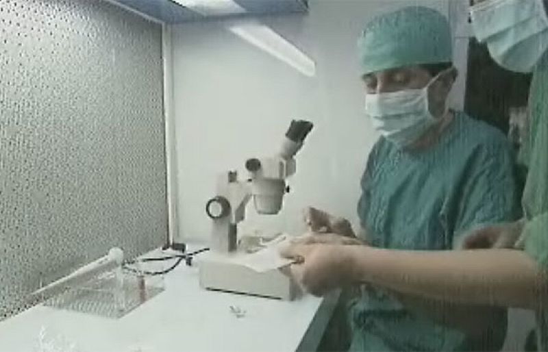 Sanidad autoriza por primera vez la selección de embriones para prevenir un cáncer hereditario