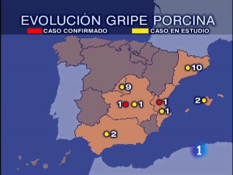 Un paciente de Valencia, el segundo caso de gripe porcina en España