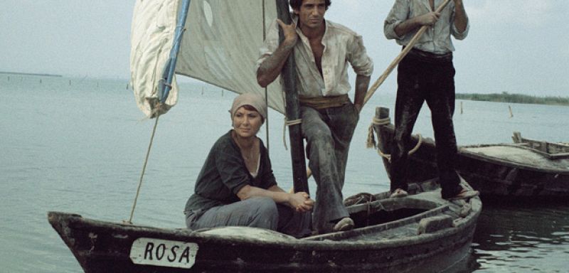 La novela de la Albufera