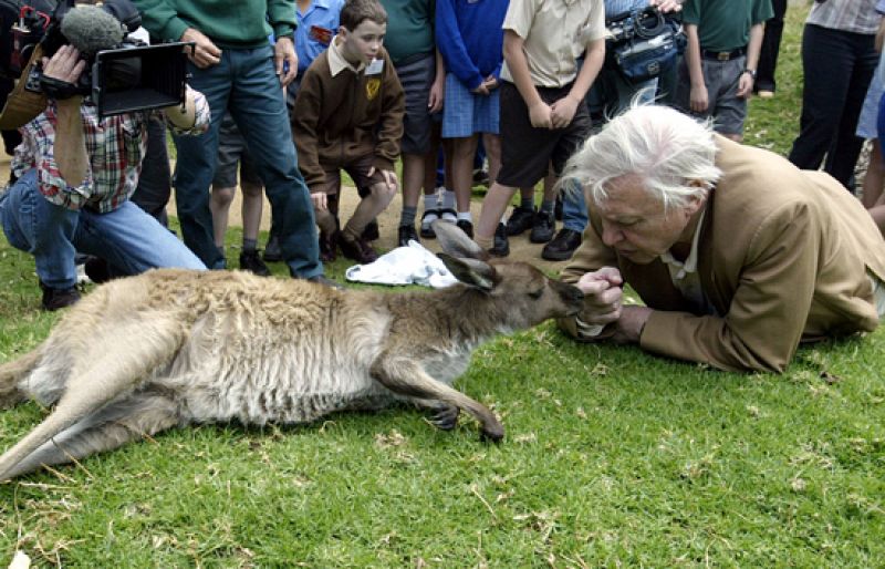 El naturalista británico Attenborough, Príncipe de Asturias de las Ciencias Sociales 2009