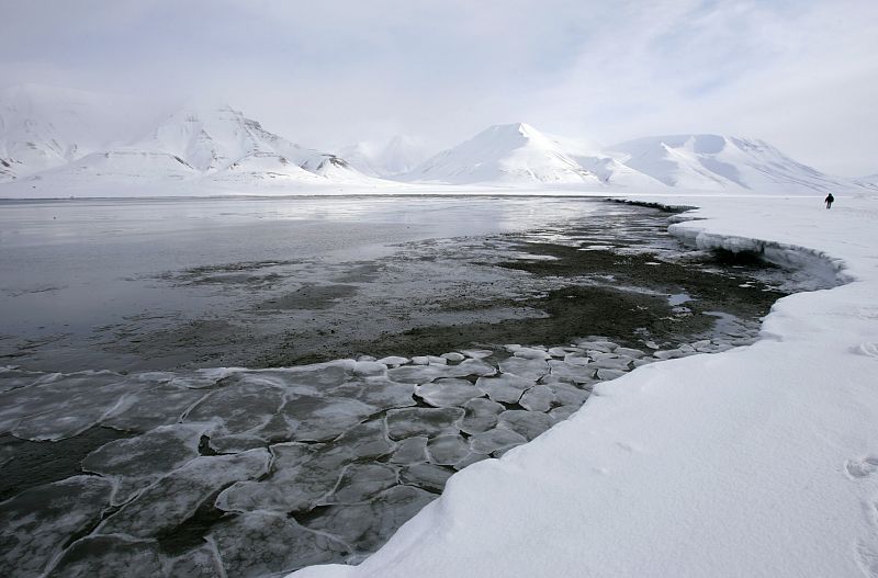 El hielo marino apareció en el Océano Ártico hace unos 47,5 millones de años