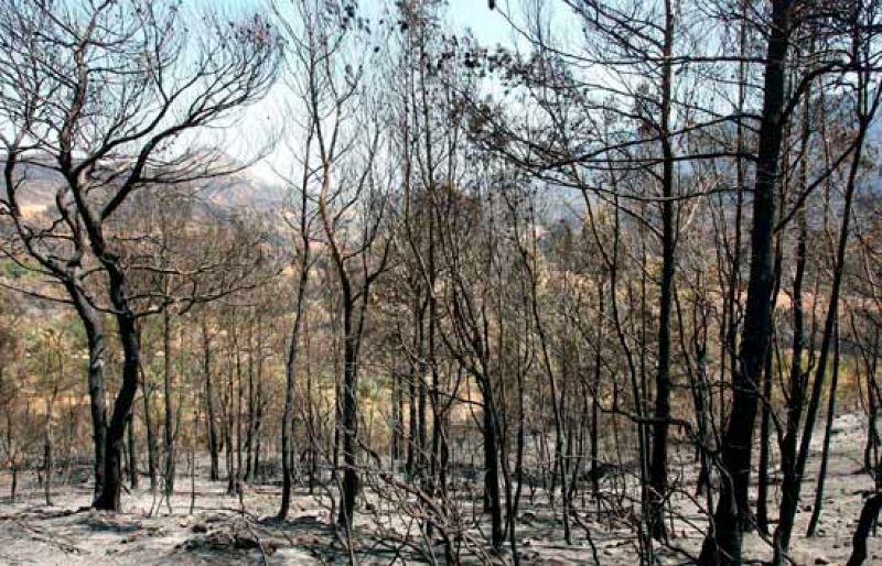 Muere el quinto bombero herido en el incendio de Tarragona