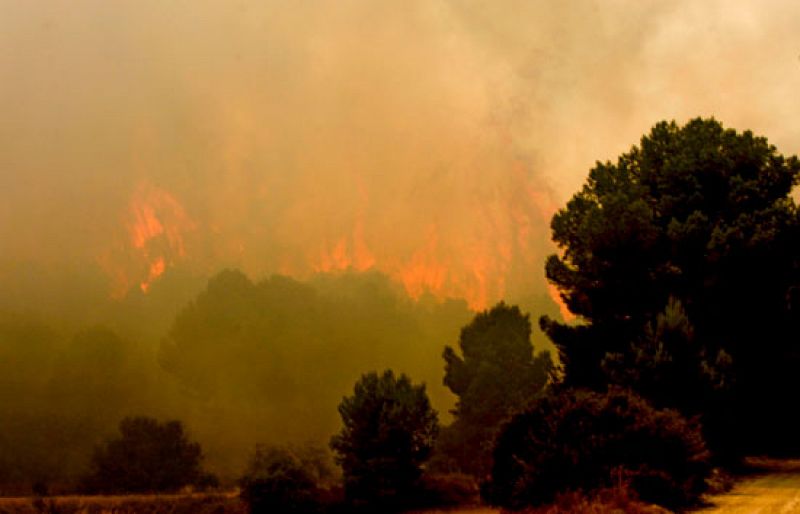 El incendio declarado en Jaulín ha arrasado ya 700 hectáreas
