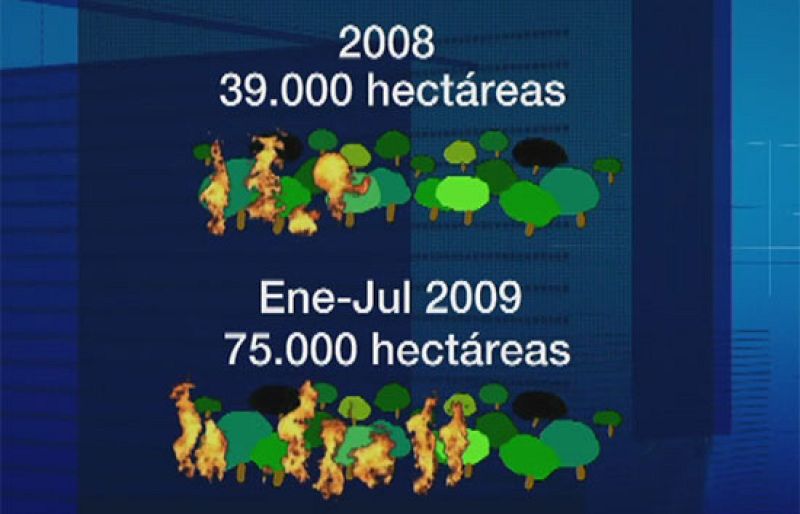 Los incendios forestales han arrasado 75.000 hectáreas en 2009, 34.000 más que en 2008