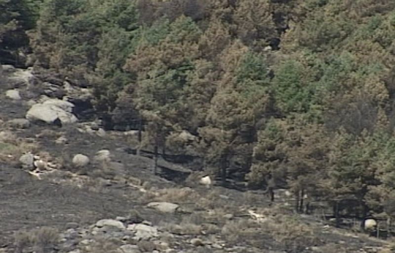 Controlado el incendio del Valle del Tiétar de Ávila seis días después de iniciarse