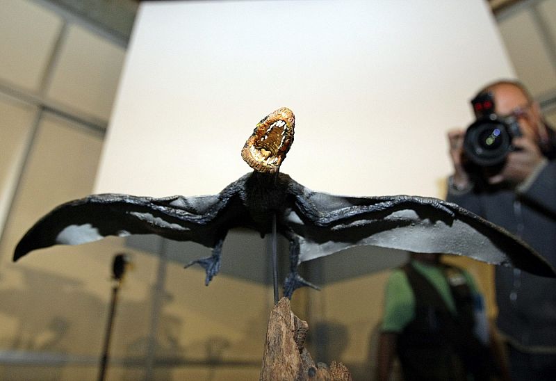Se presenta en Brasil un fósil de pterosaurio que proporciona nuevos datos sobre este reptil alado