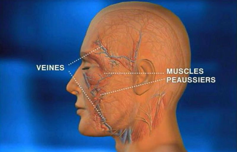 Autorizado el tercer trasplante de cara en España