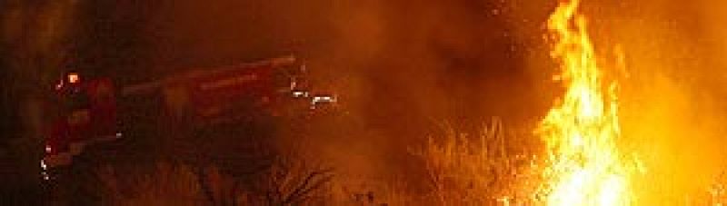 Los incendios forestales han arrasado 84.000 hectáreas en lo que va de año