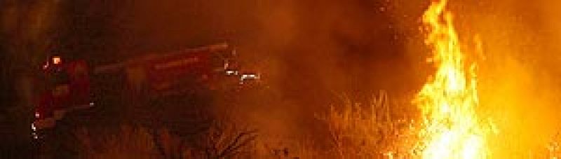 Los incendios forestales han arrasado 84.000 hectáreas en lo que va de año