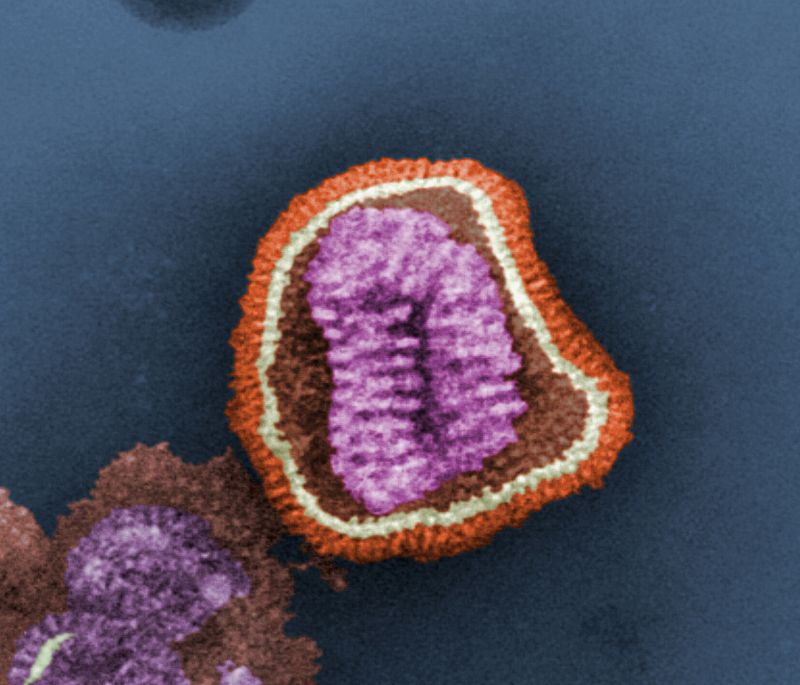 Cronología de los fallecidos por la gripe A (H1N1) en España