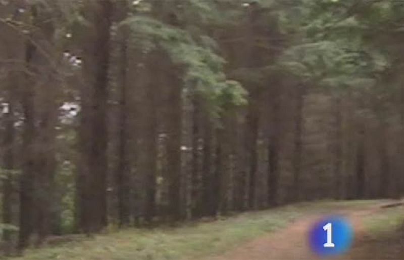 Hallan un nuevo zulo de ETA en el sur de Francia con 18 kilos de explosivos