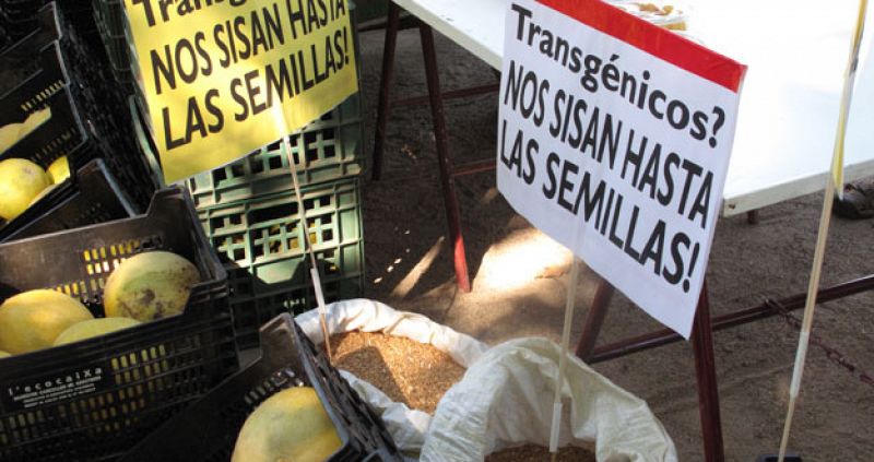 Tolerancia cero a los productos transgénicos durante una semana en las calles de Madrid