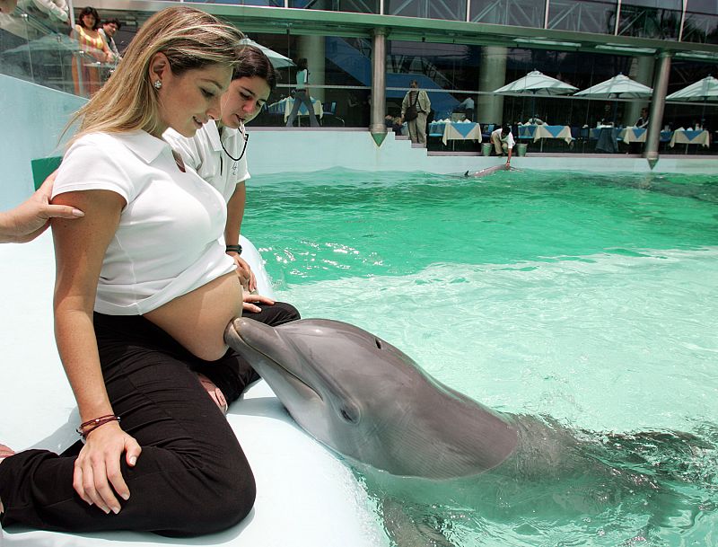 Asnos, delfines o leones marinos también saben ayudar a los enfermos