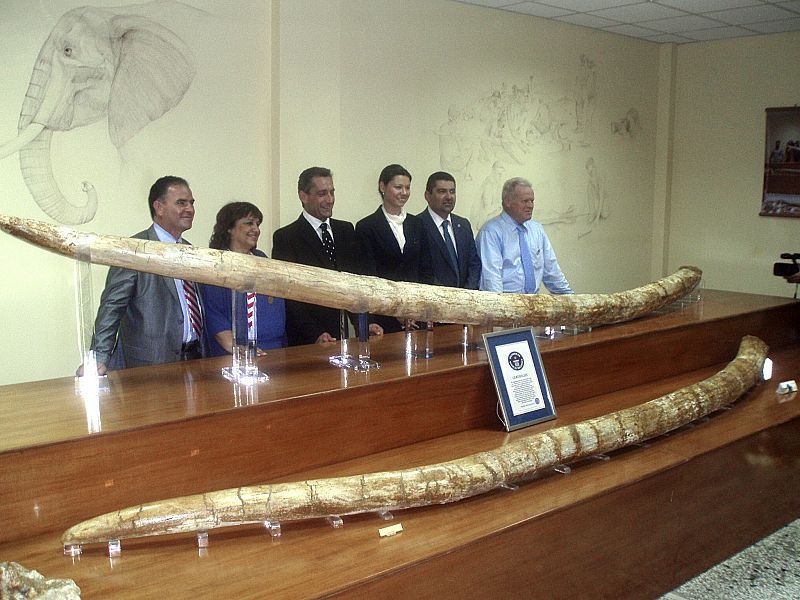 Unos colmillos de mastodonte de cinco metros le dan el premio Guinness a un pueblecito griego