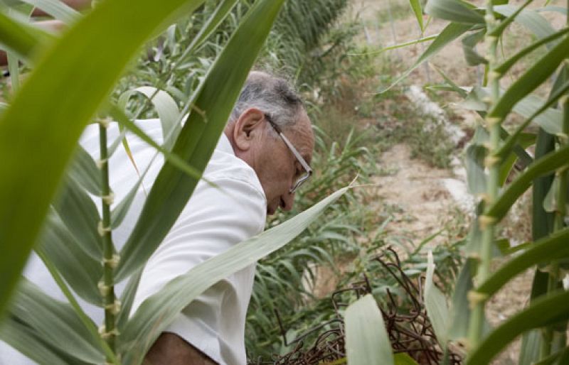 Comienza la búsqueda de Marta en la zanja apuntada por la ex novia de Miguel