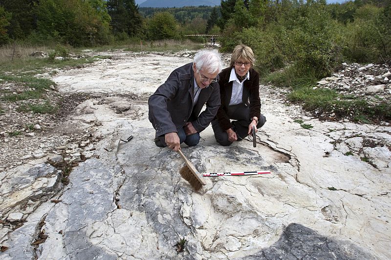 Hallan en Francia las huellas de dinosaurio más grandes de la historia