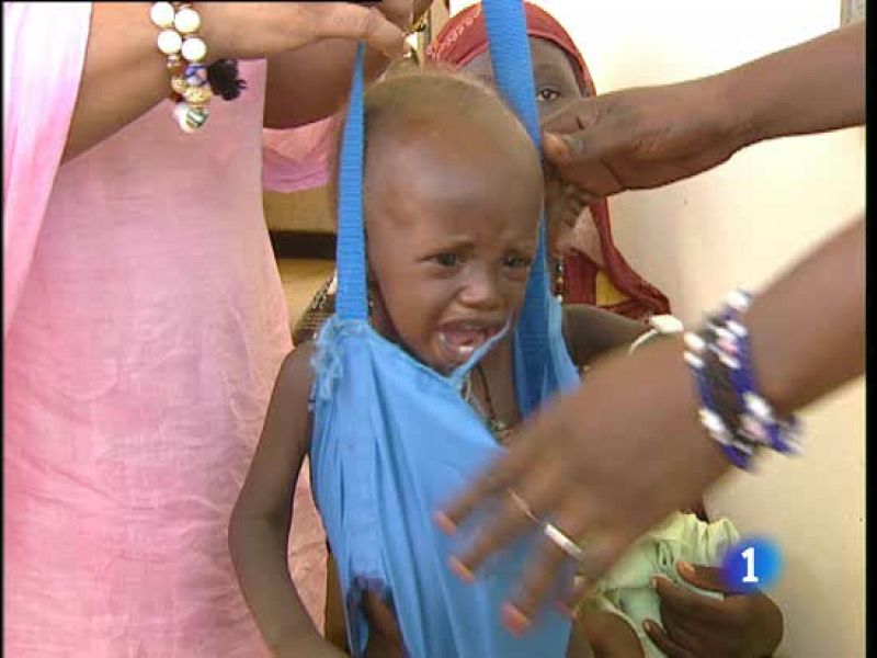 La FAO hace un llamamiento para "la eliminación total y rápida del hambre"